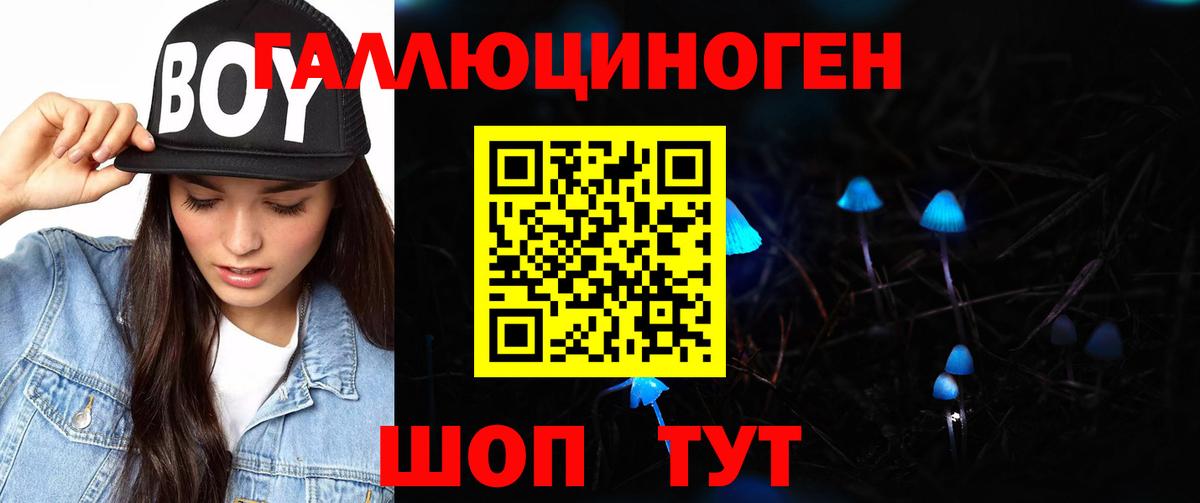 Псилоцибиновые грибы Psilocybe  Вход с VPN  Вологда 